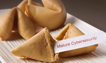 Passionate Cyber Organizations